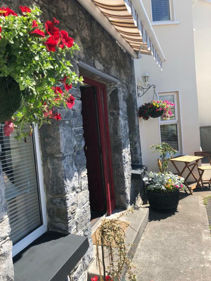 Amber Hill Bed & Breakfast Galway Bagian luar foto